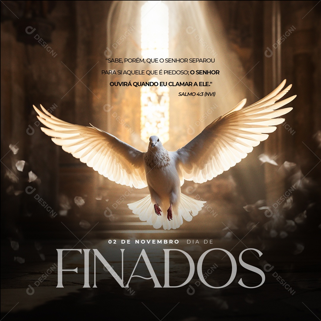 Social Media Dia De Finados 02 De Novembro PSD Editável