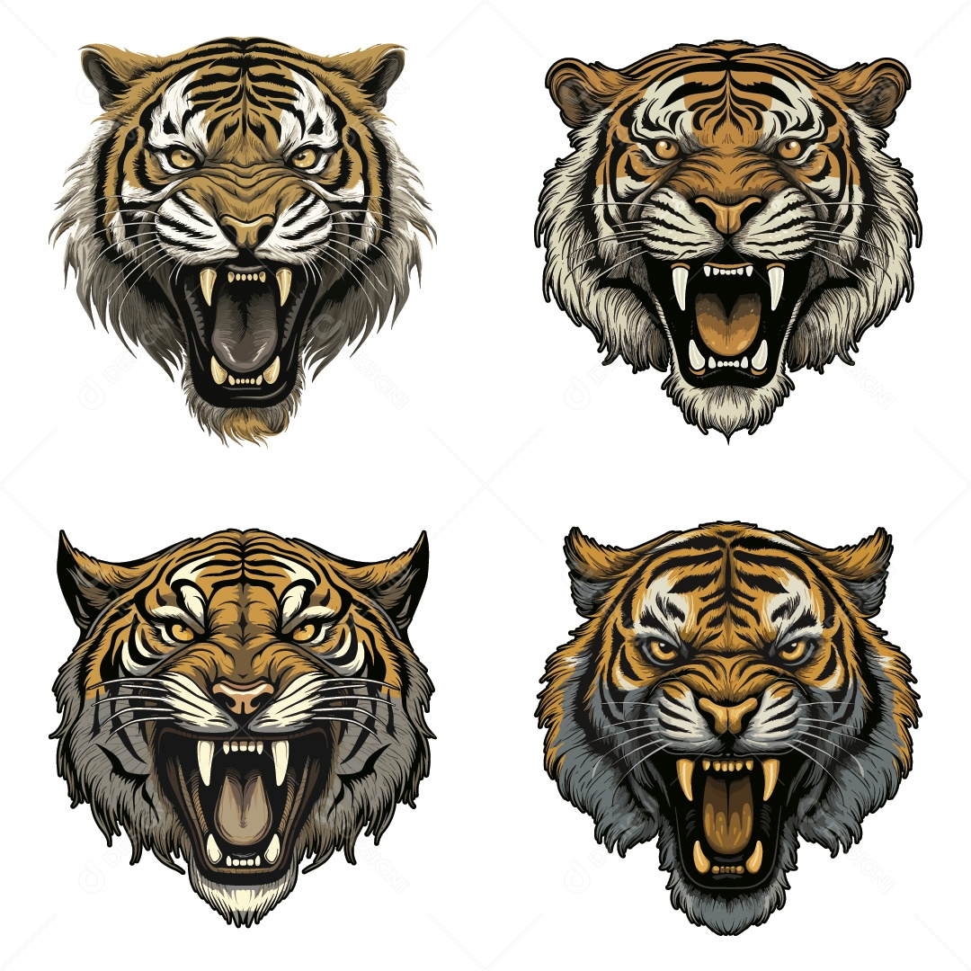 Conjunto de Tigre Ilustração Vetor EPS