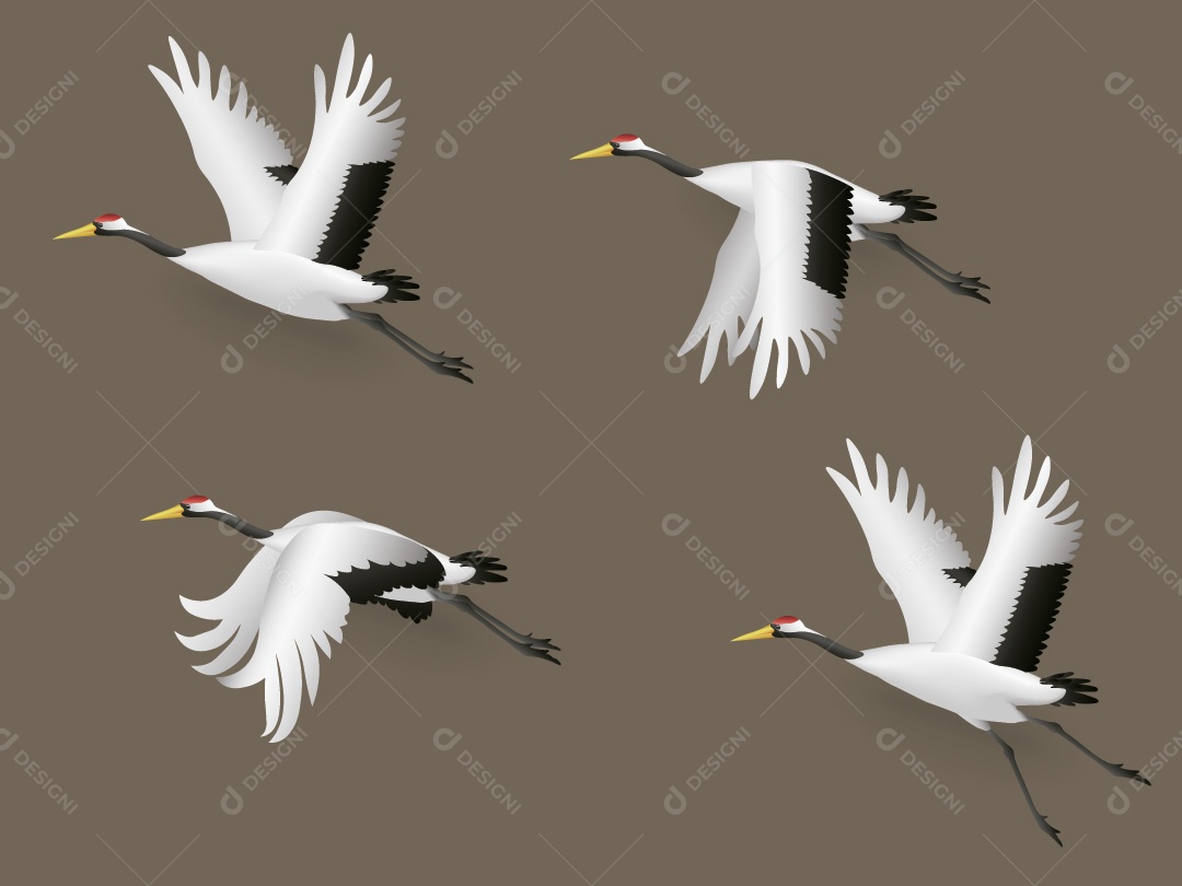 Garça Ilustração Vetor EPS