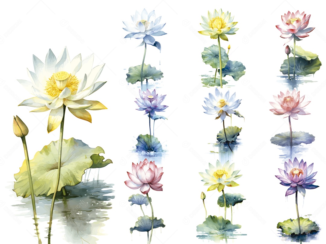 Flores em Aquarela Ilustração Vetor EPS