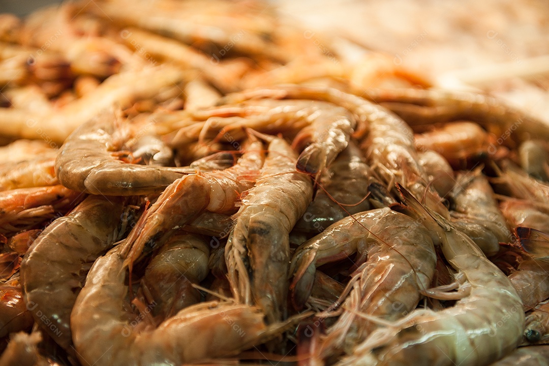 Camarões frescos