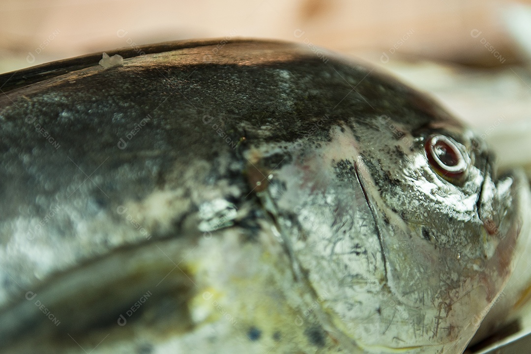 Peixes frescos sobre mesa
