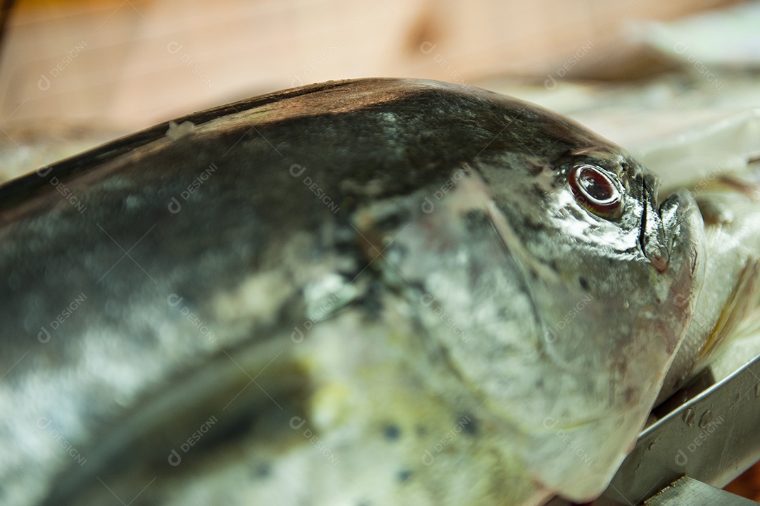 Peixes frescos sobre mesa