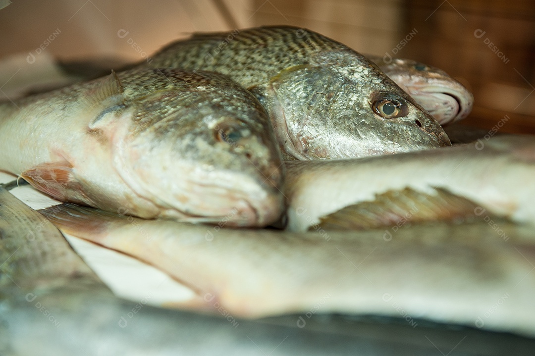 Peixes frescos sobre mesa