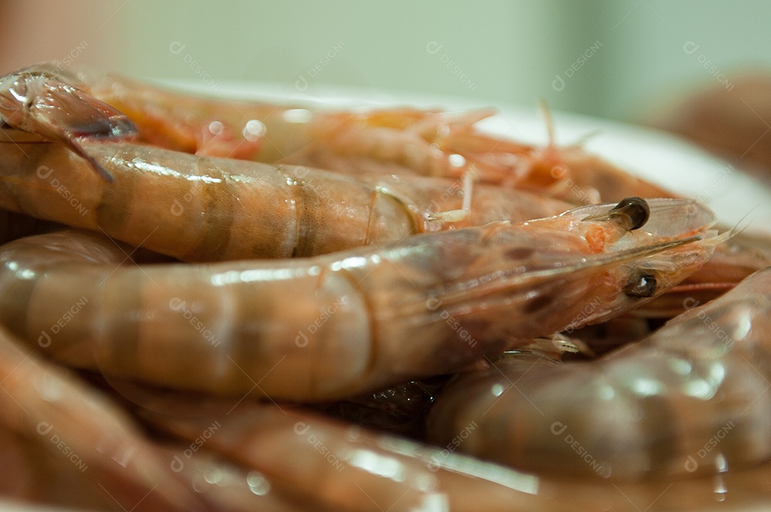 Camarões frescos