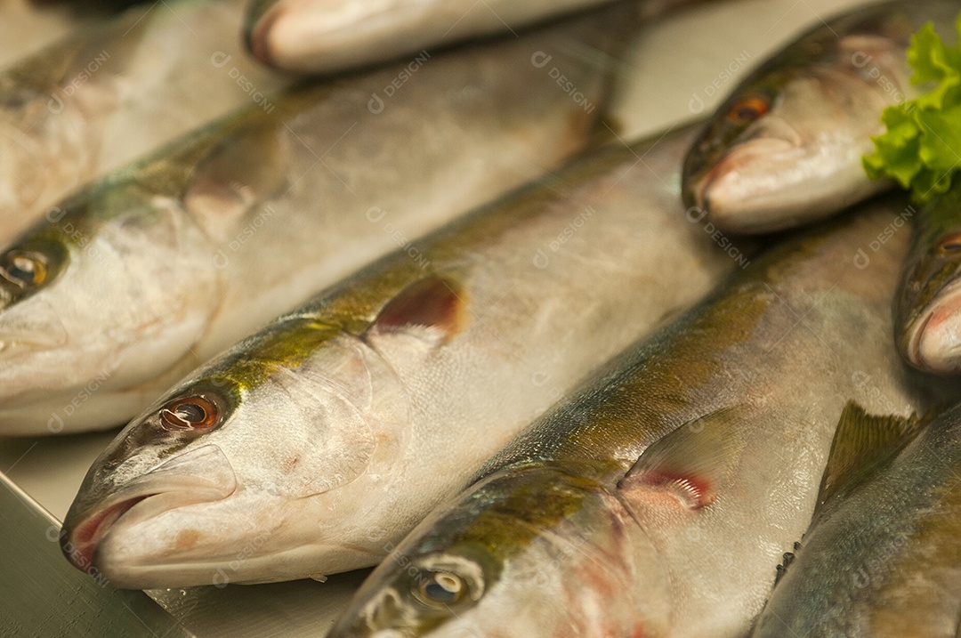 Peixes frescos sobre mesa madeira