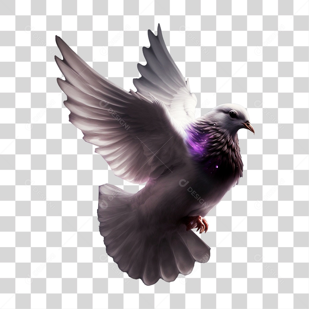 Pombo Ave PNG Transparente