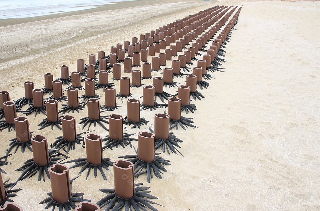 Os recifes de corais artificiais nas praias marítimas protegem contra as ondas.