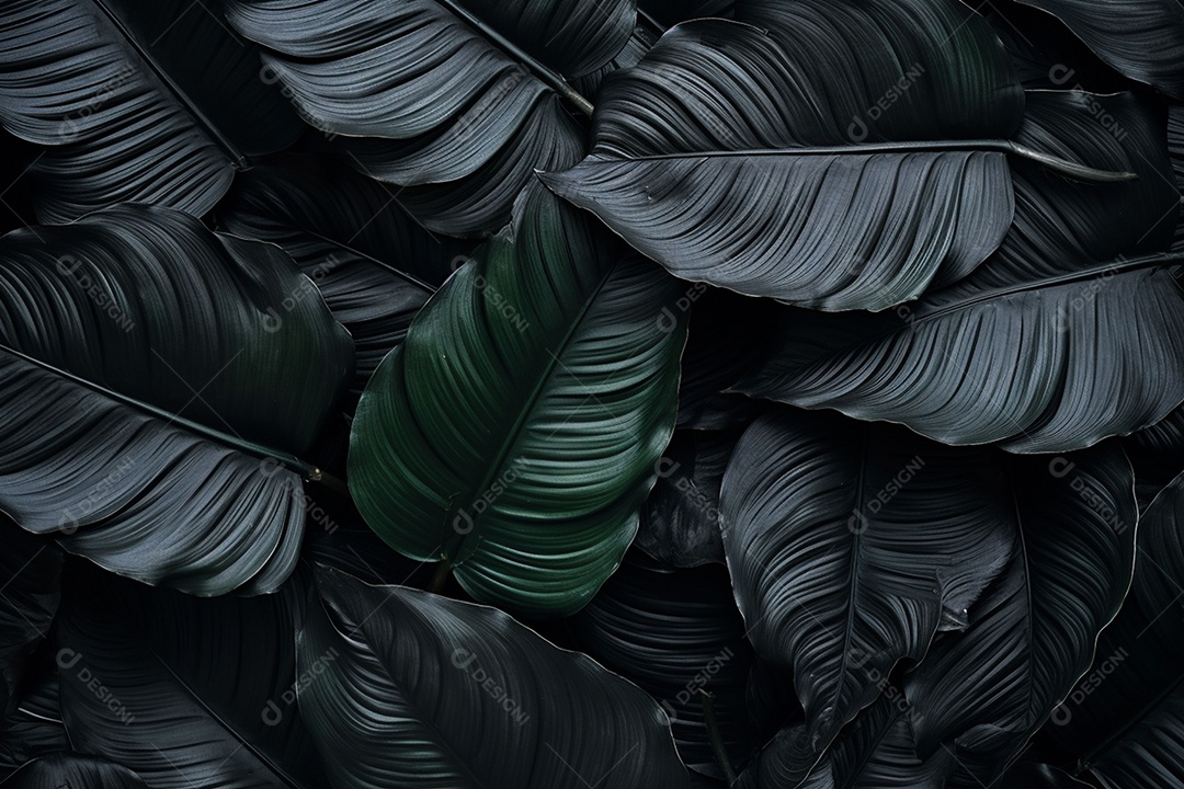 Fundo de folhas tropicais preto e verde