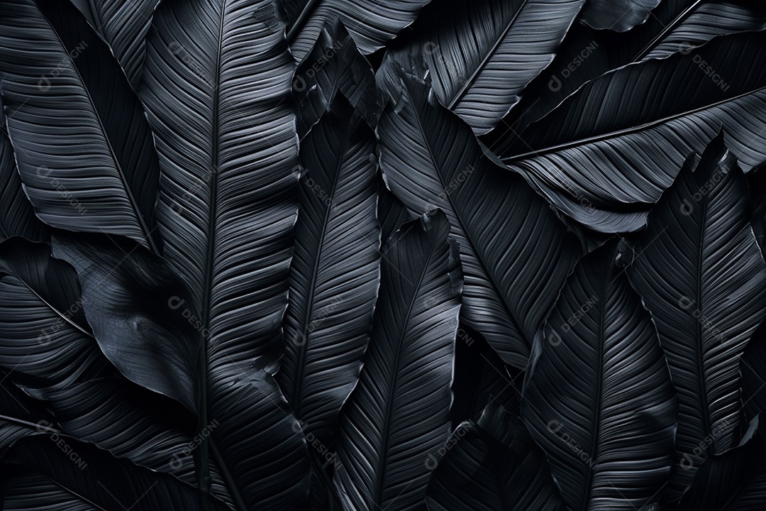 Fundo de folhas tropicais preto e verde