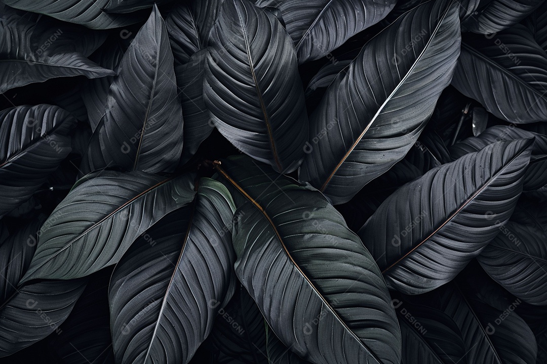 Fundo de folhas tropicais preto e verde