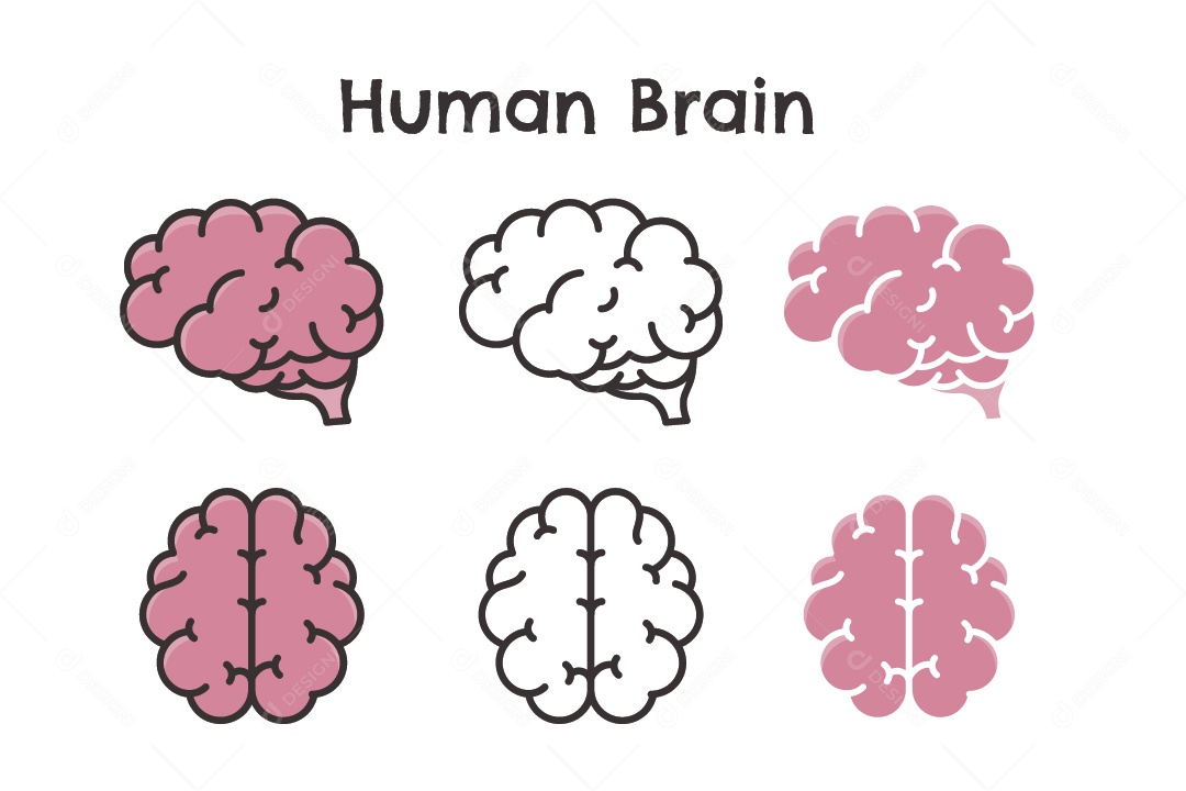 Cérebro Ilustração Vetor EPS