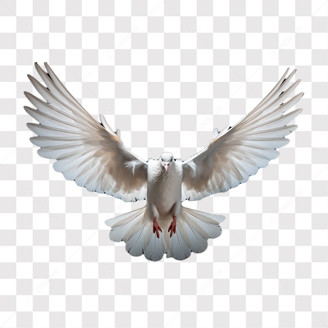Pomba Branca do Dia de Finados  Elemento 3D para Composição PNG Transparente Sem Fundo