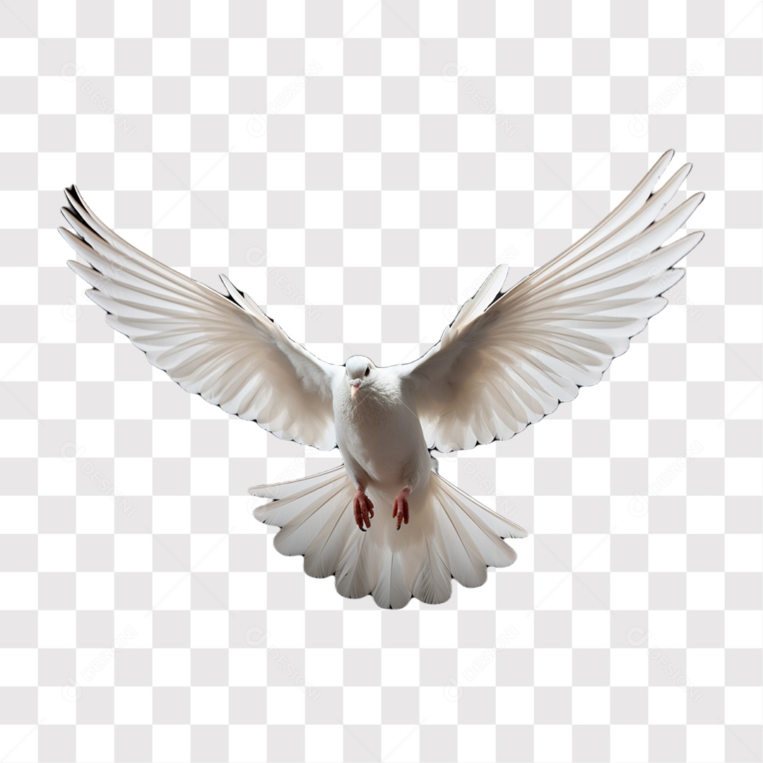 Elemento 3D Pomba Branca do Dia de Finados para Composição PNG Transparente Sem Fundo