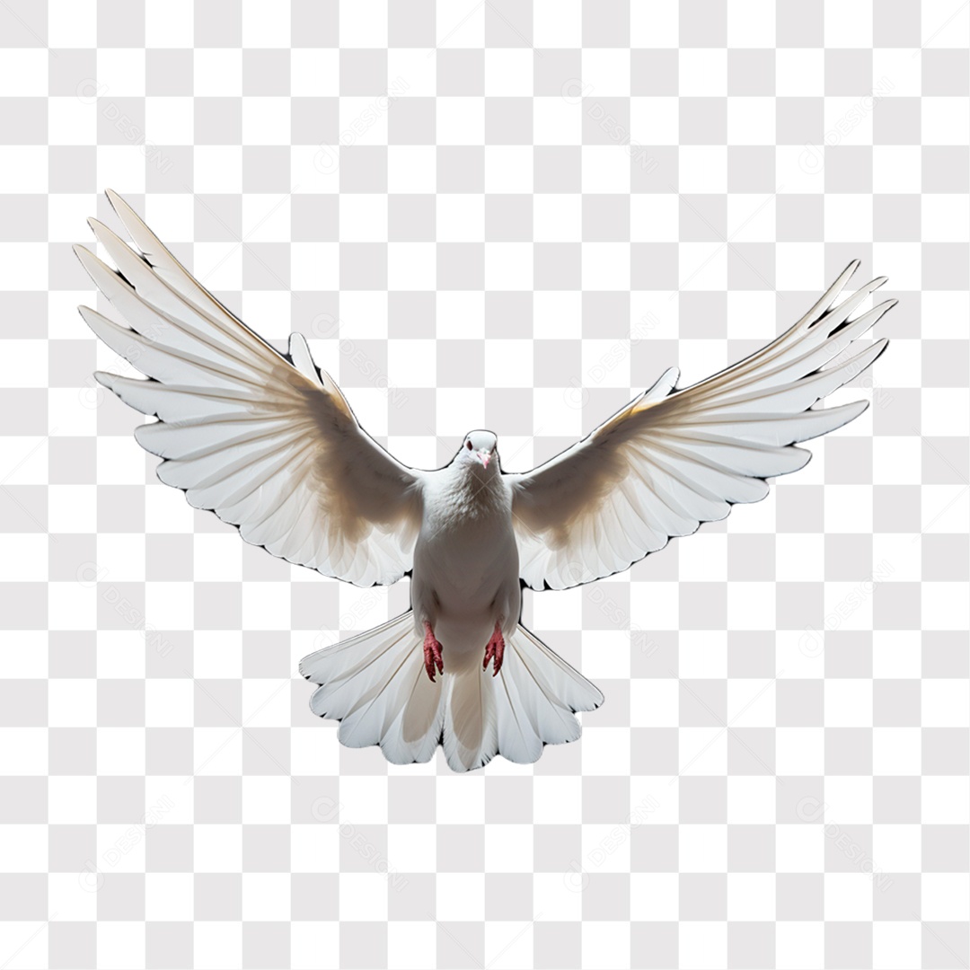 White Dove All Souls' Day 3D Element for Transparent PNG Composition Without Background