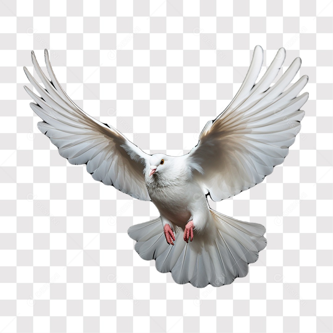 Pomba Branca Elemento 3D do Dia de Finados para Composição PNG Transparente Sem Fundo