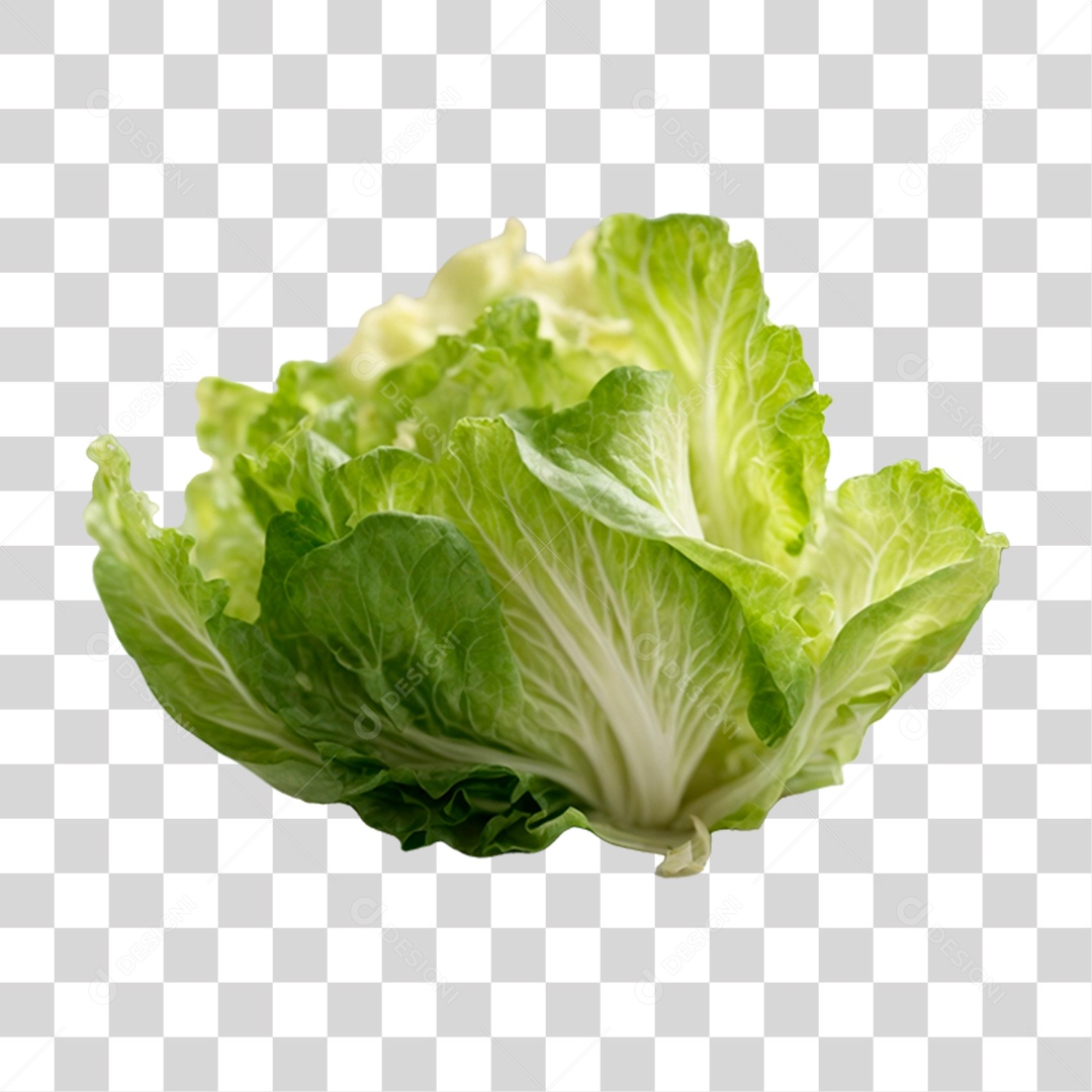 Folhas de Alface PNG Transparente