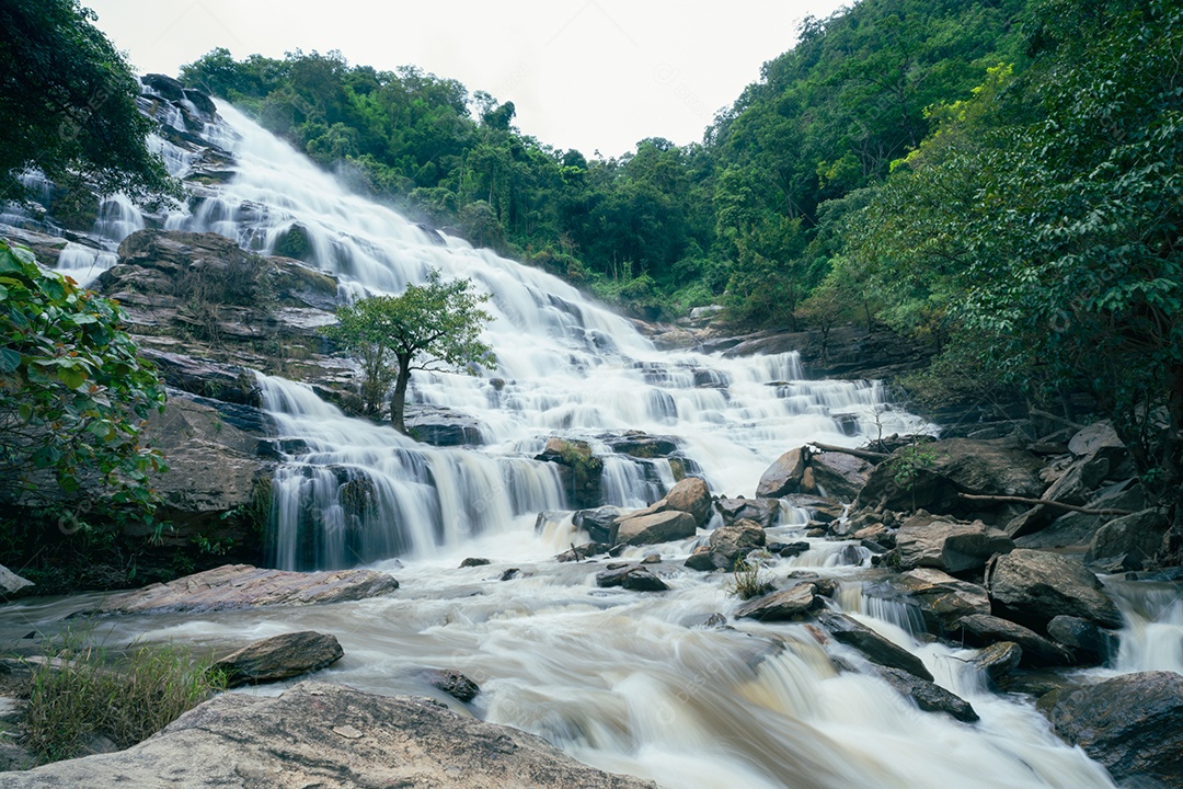 Linda cachoeira em uma exuberante floresta tropical verde