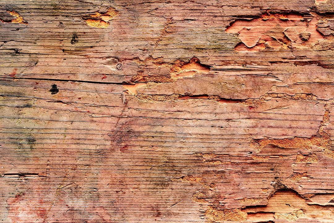 Textura, madeira, parede, pode ser usada como fundo. Textura de madeira com arranhões e rachaduras