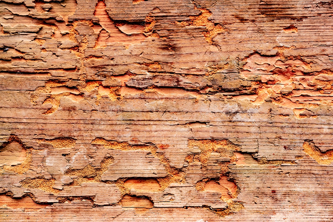 Textura, madeira, parede, pode ser usada como fundo. Textura de madeira com arranhões e rachaduras