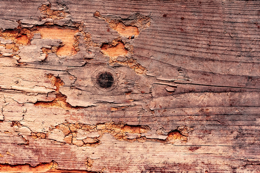 Textura, madeira, parede, pode ser usada como fundo. Textura de madeira com arranhões e rachaduras