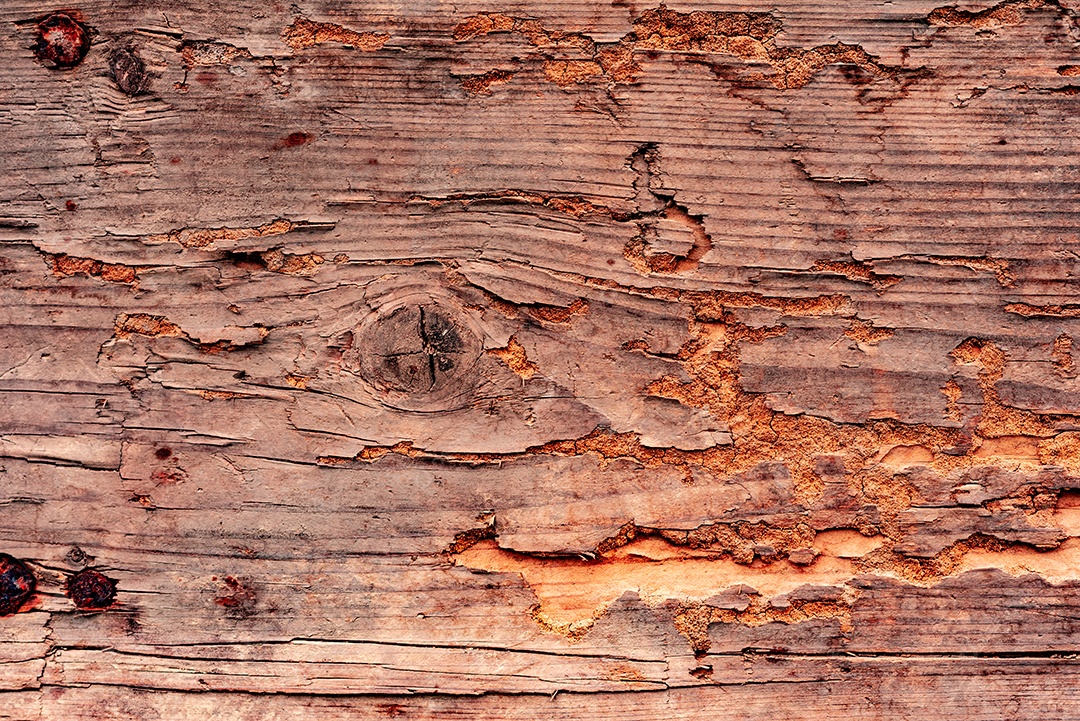 Textura, madeira, parede, pode ser usada como fundo. Textura de madeira com arranhões e rachaduras