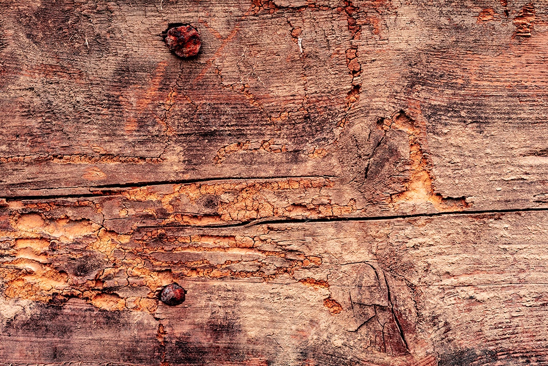 Textura, madeira, parede, pode ser usada como fundo. Textura de madeira com arranhões e rachaduras