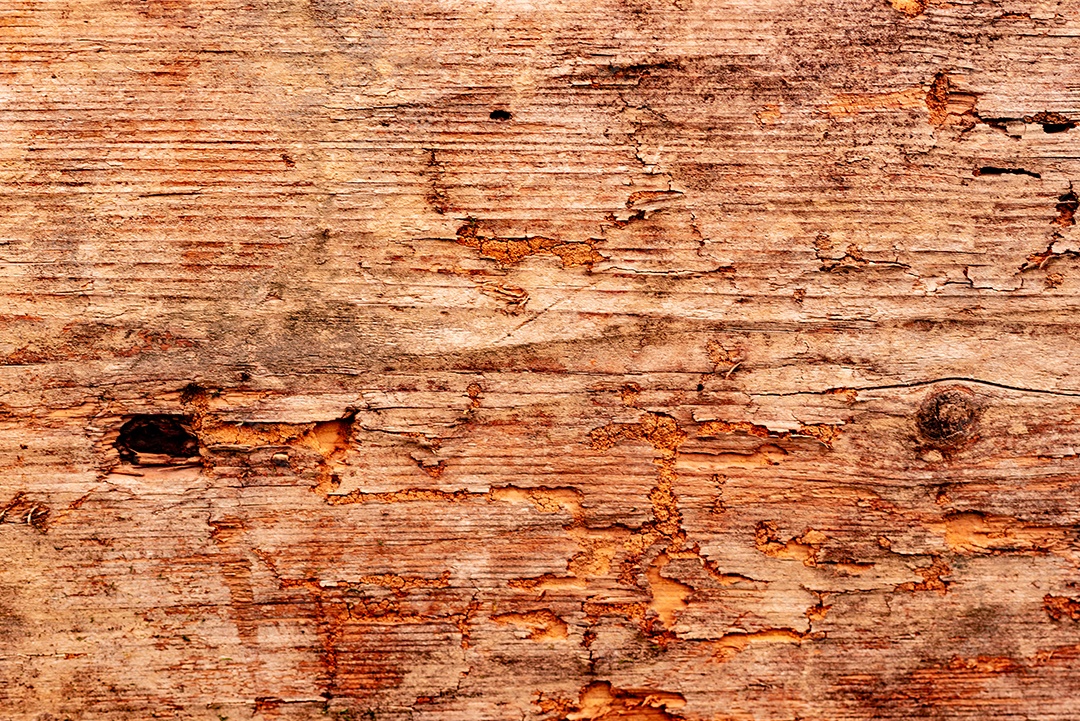 Textura, madeira, parede, pode ser usada como fundo. Textura de madeira com arranhões e rachaduras