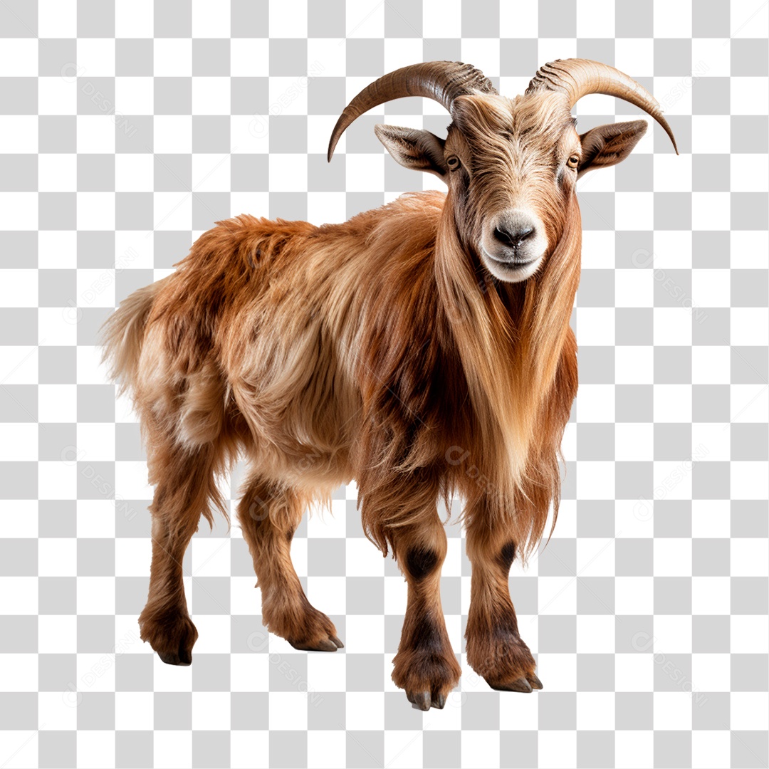 Bode Animal Fazenda PNG Transparente