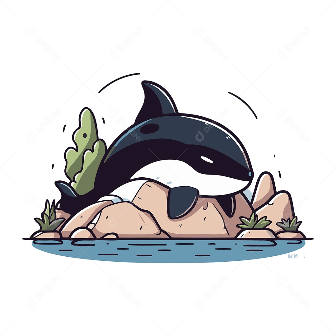 Baleia Orca Desenho Animado Ilustração Vetor EPS