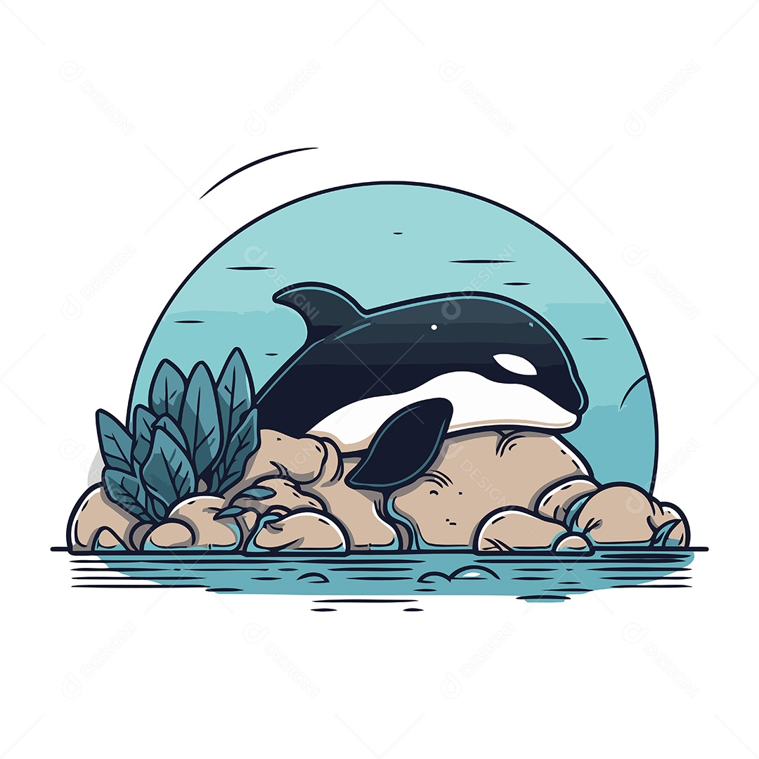 Baleia Orca Desenho Animado Ilustração Vetor EPS