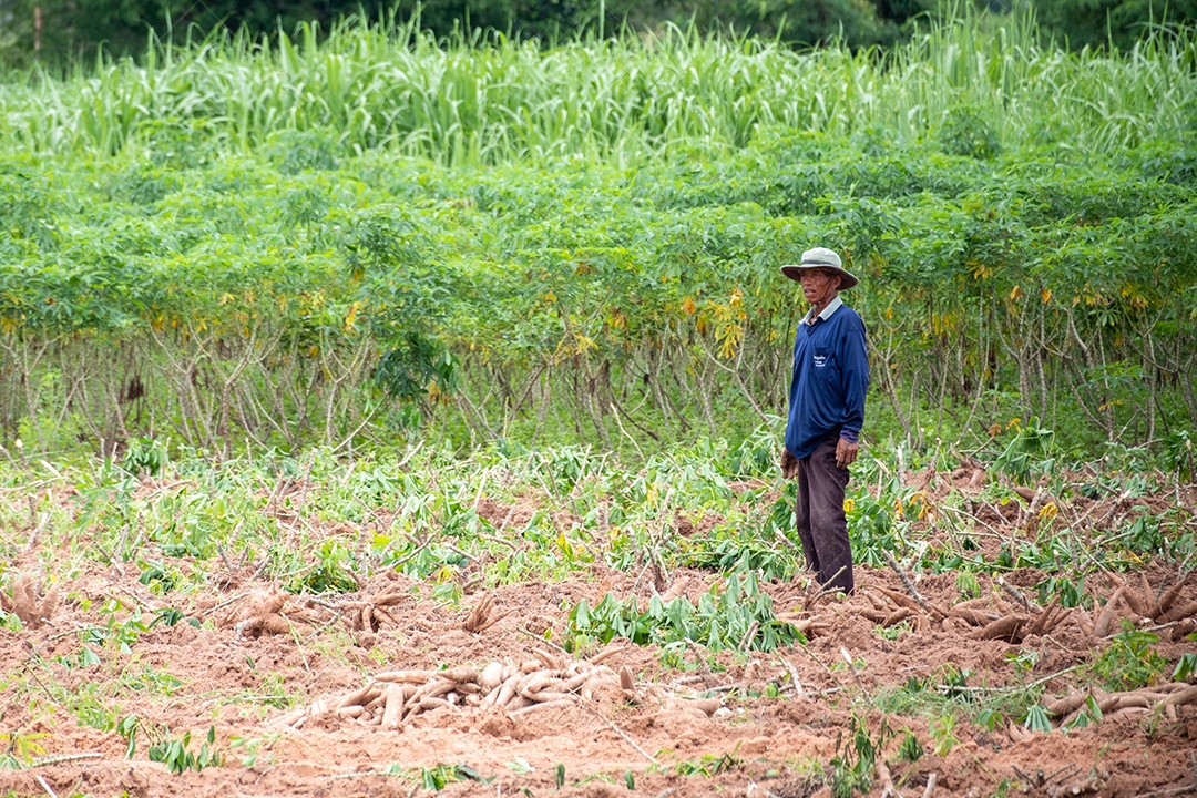 Homem sobre pasto de agricultura