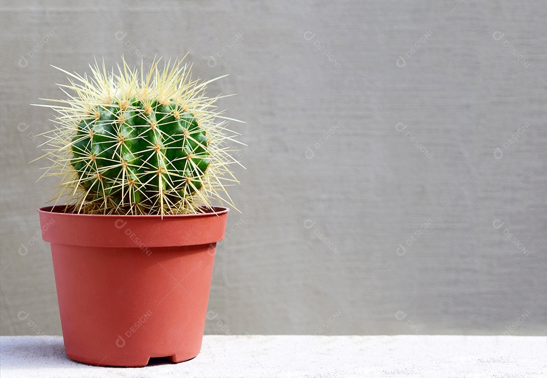 Cacto em uma jarro marrom sobre um fundo cinza de concreto