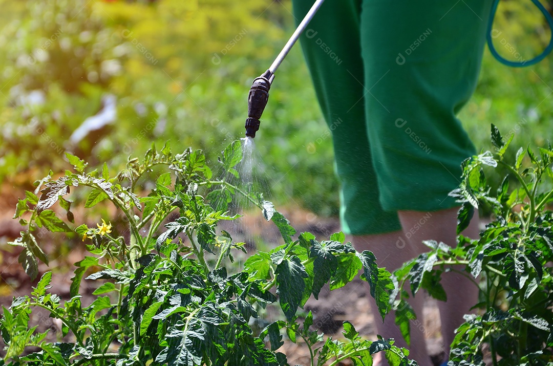Uma mulher de calça verde borrifa veneno de inseto