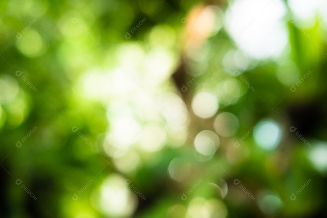 Imagem bokeh de fundo abstrato verde natural desfocado