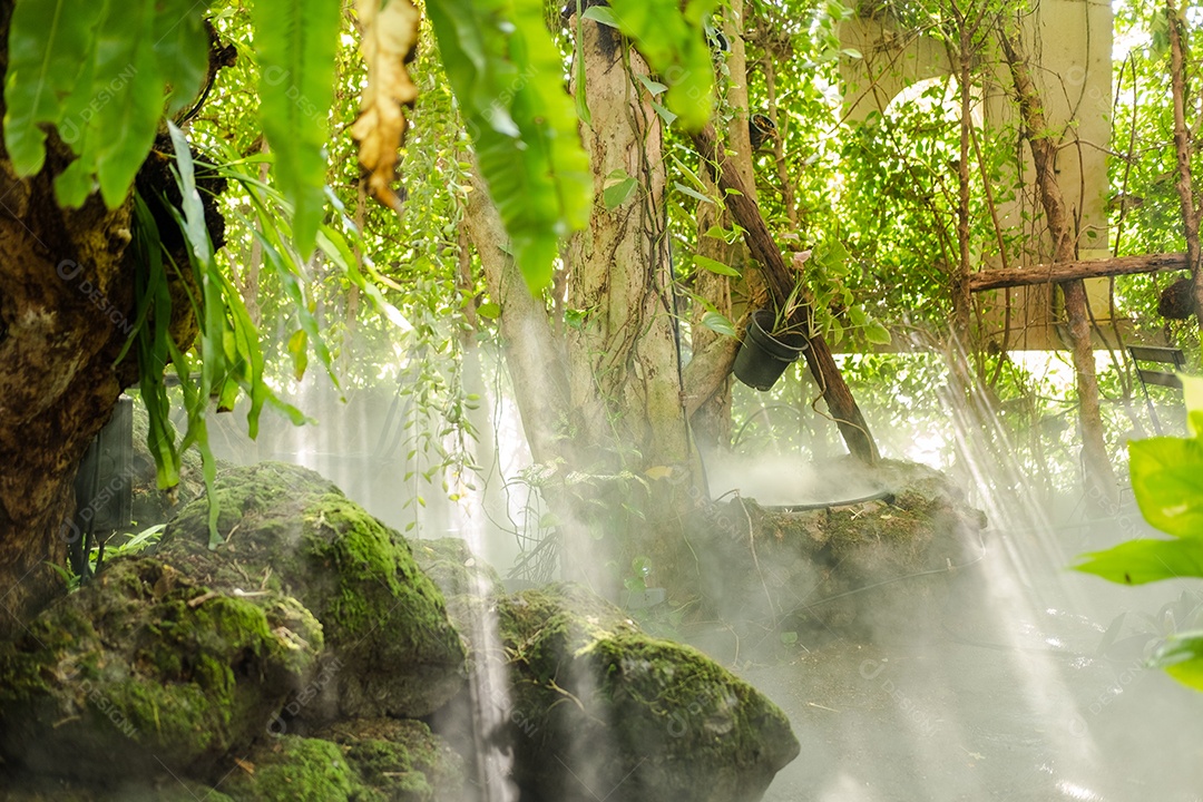 Musgo de folhagem verde e exuberante e samambaia frescas com um clima enevoado