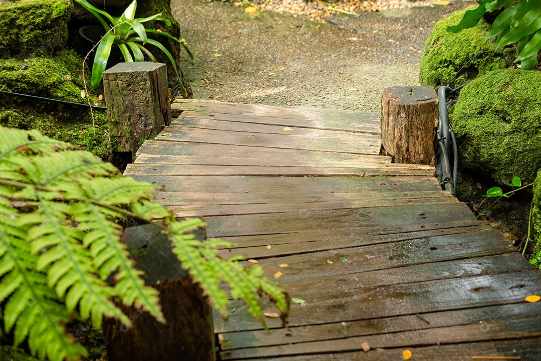 Samambaias pedras com musgo e uma ponte de madeira em jardim