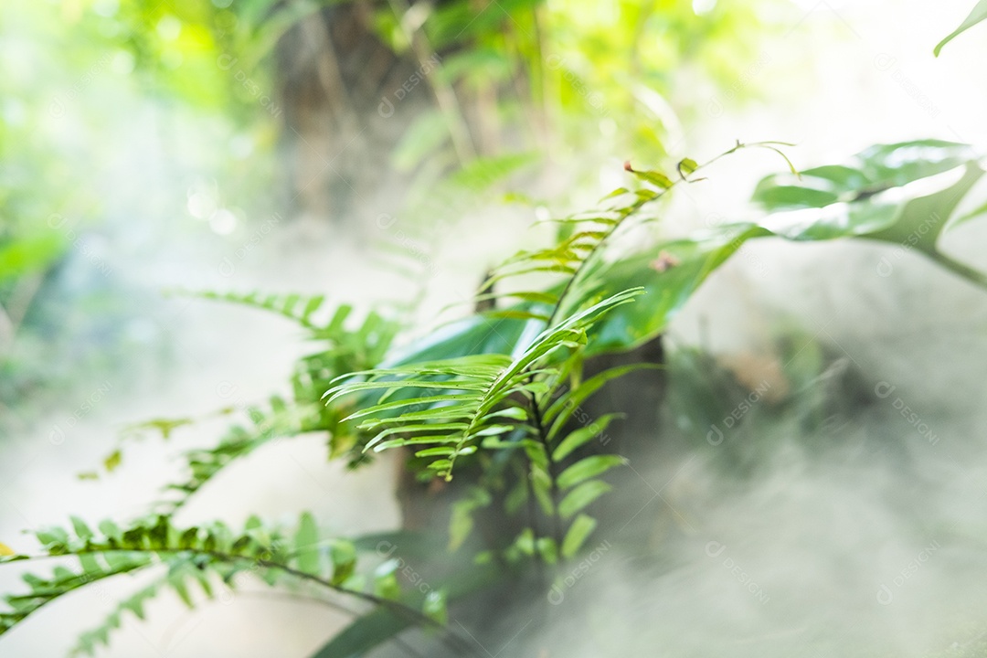 Musgo de folhagem verde e exuberante e samambaia frescas com um clima enevoado