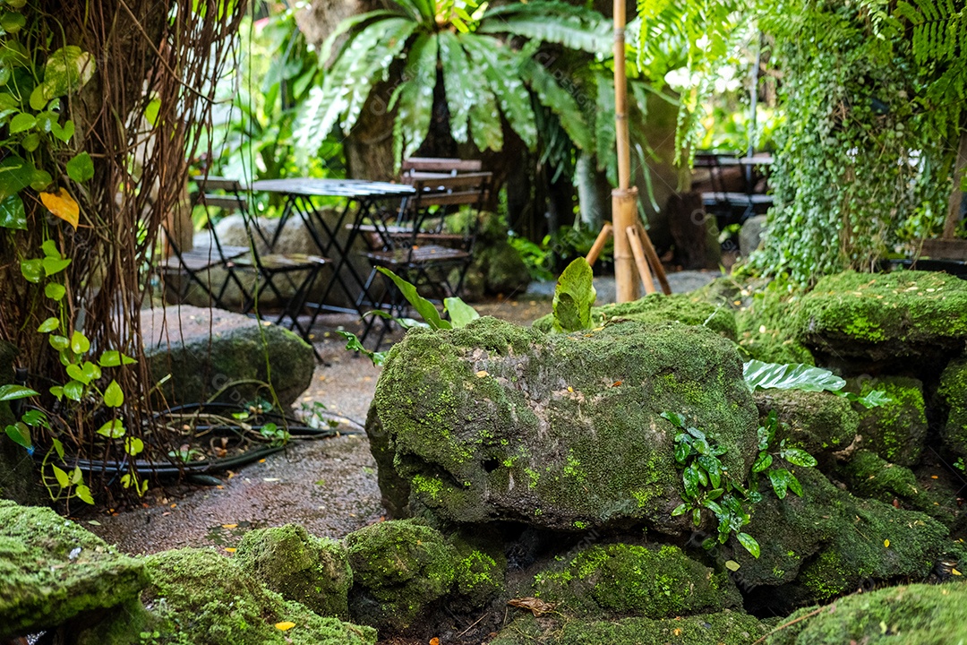 Musgo de folhagem verde e exuberante samambaia e plantas