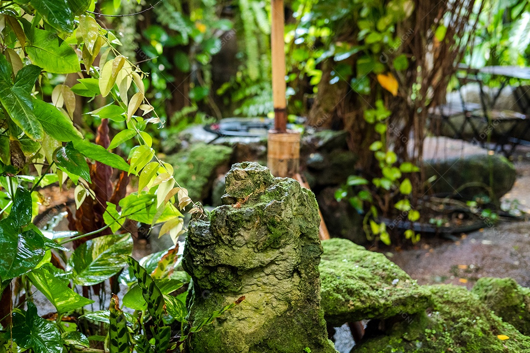 Musgo de folhagem verde e exuberante e samambaia