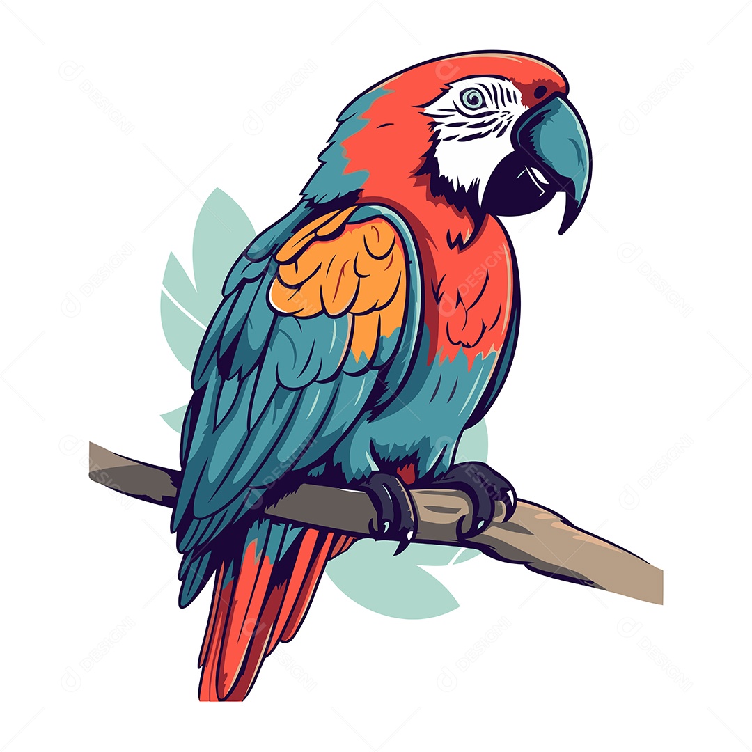 Arara Desenho Animado Ilustração Vetor EPS