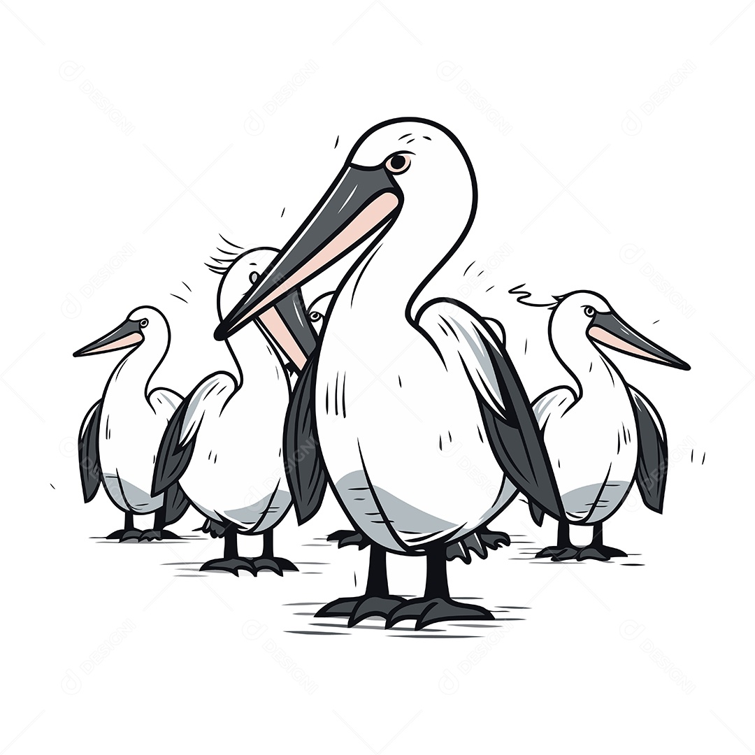 Pelicanos de Desenho Animado Ilustração Vetor EPS