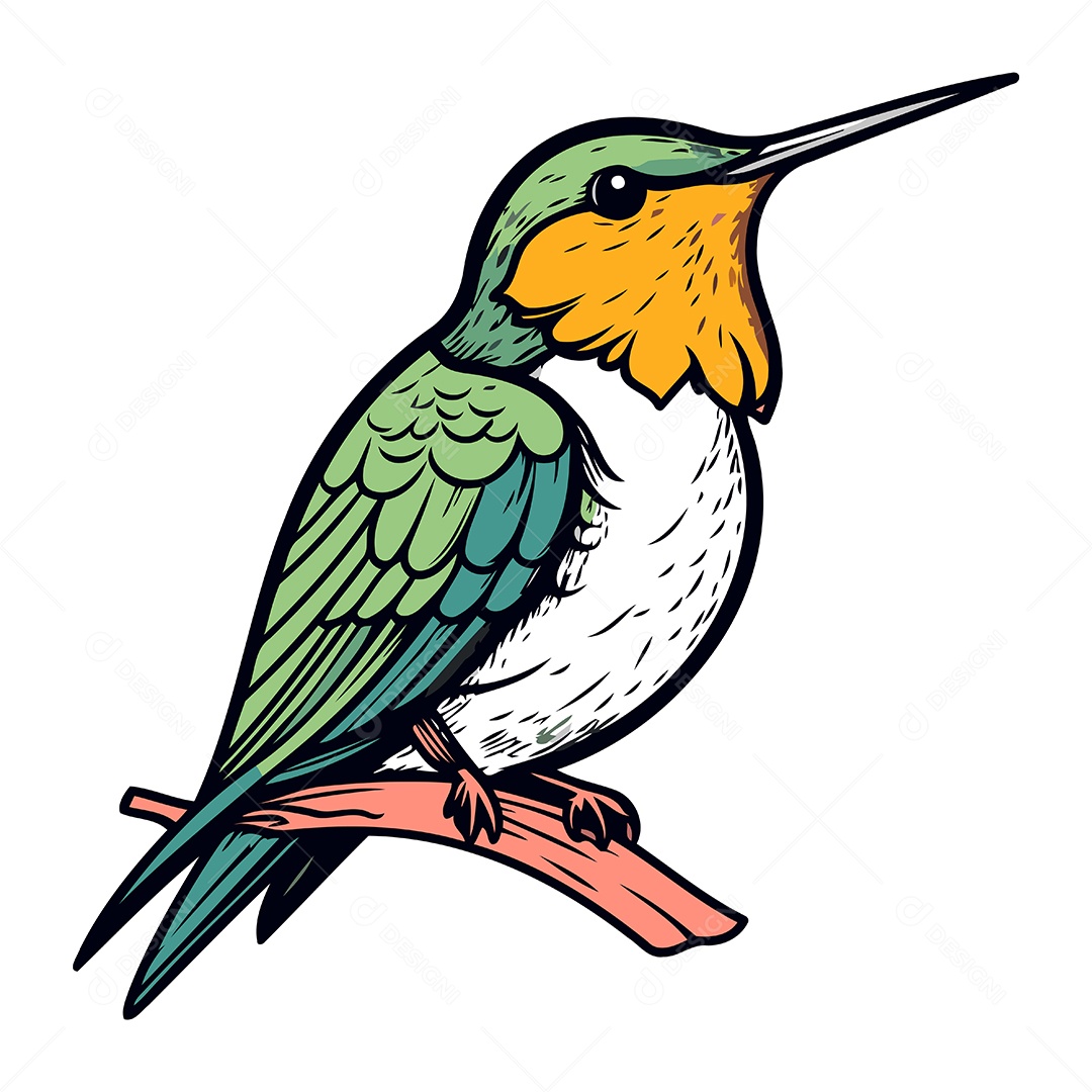 Beija Flor Pousado em Um Galho Ilustração Vetor EPS