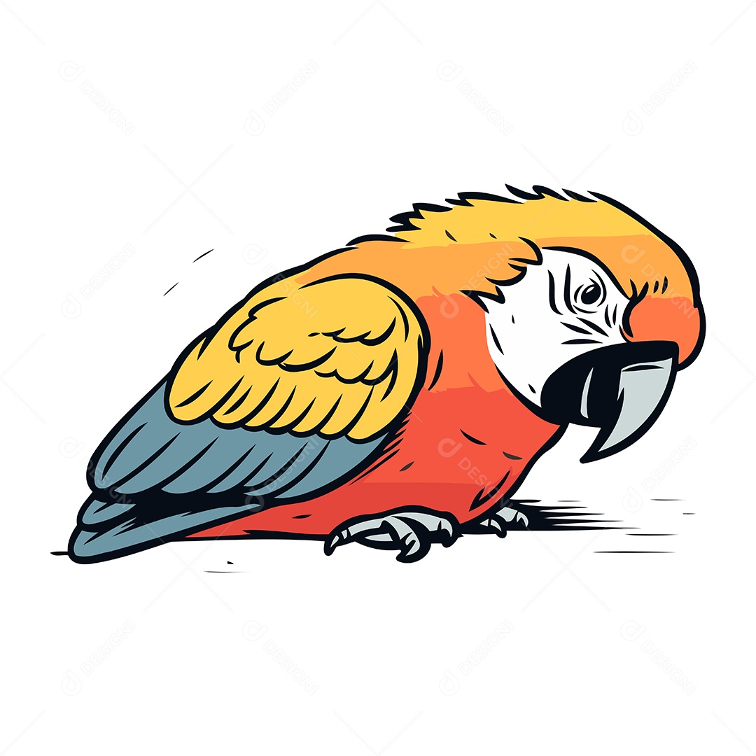 Arara de Desenho Animado Ilustração Vetor EPS