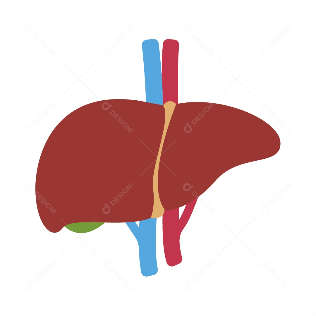 Ícone de Fígado Ilustração Vetor EPS