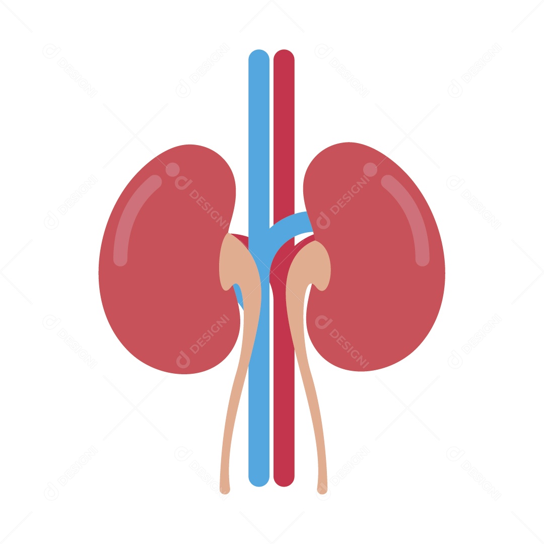 Ícone de Rins Ilustração Vetor EPS