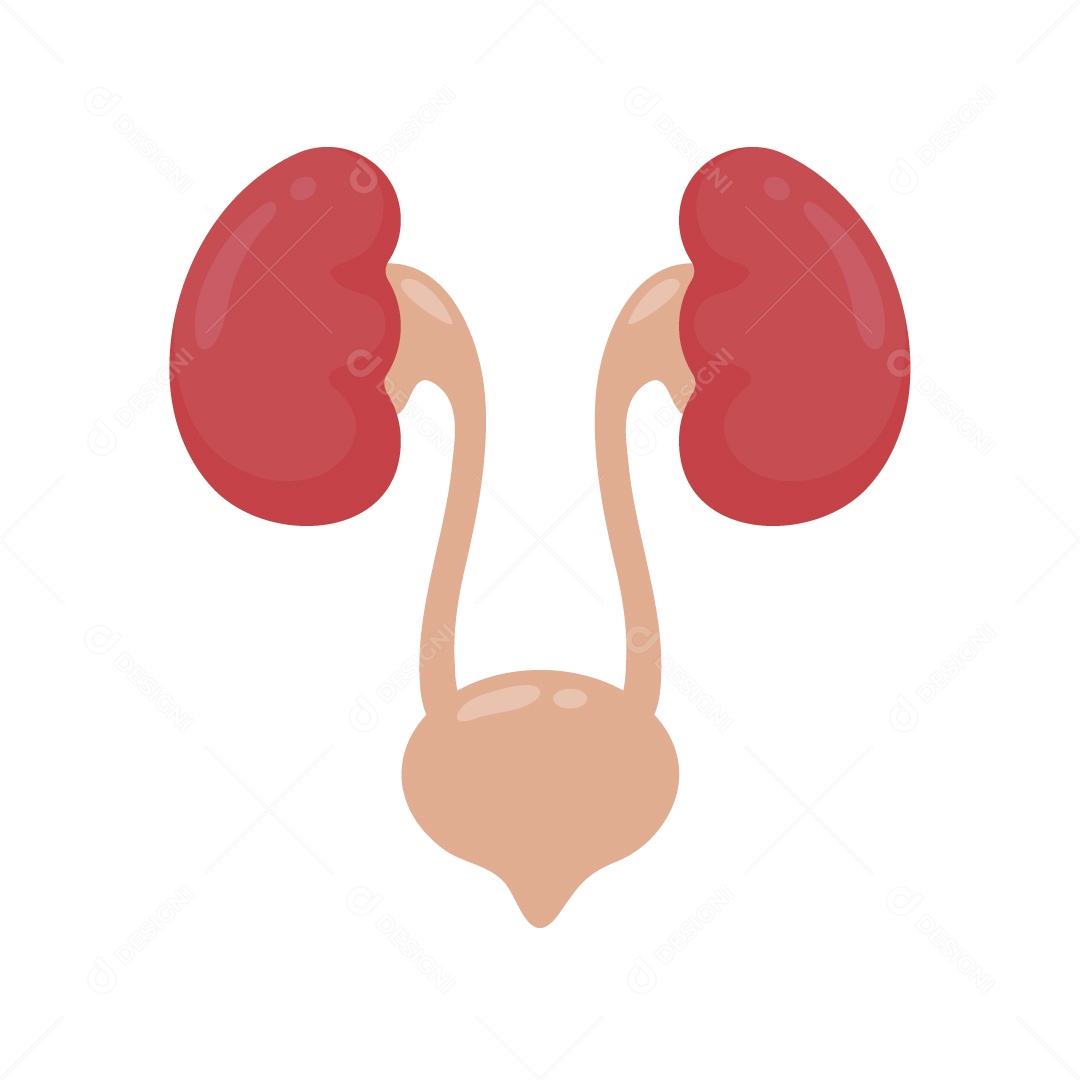 Ícone de Rins Ilustração Vetor EPS
