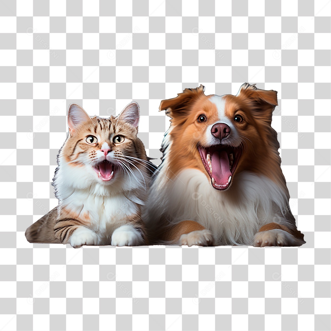 Gato e Cachorro Animal de estimação PNG Transparente