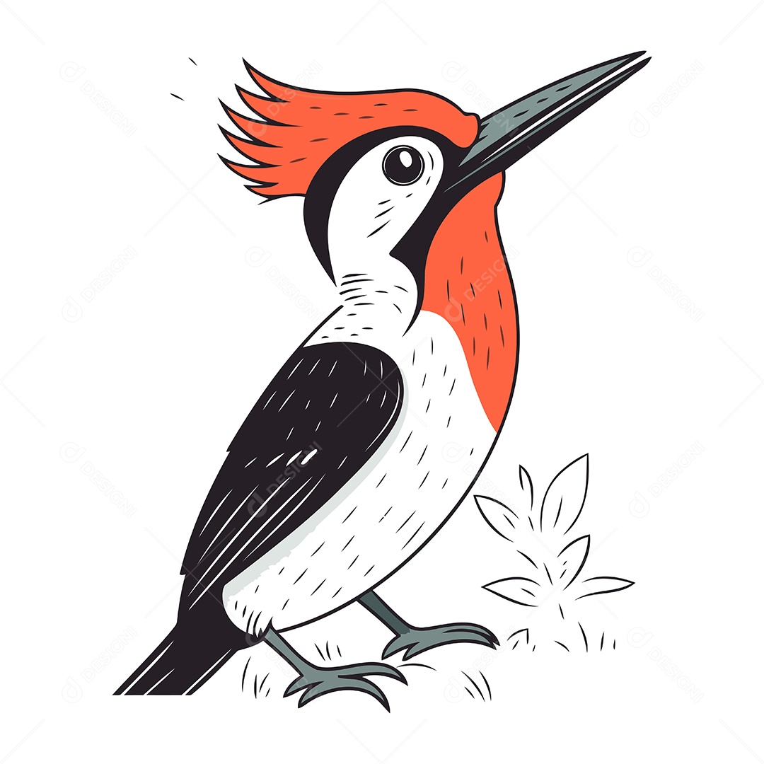 Pica Pau de Desenho Animado Ilustração Vetor EPS