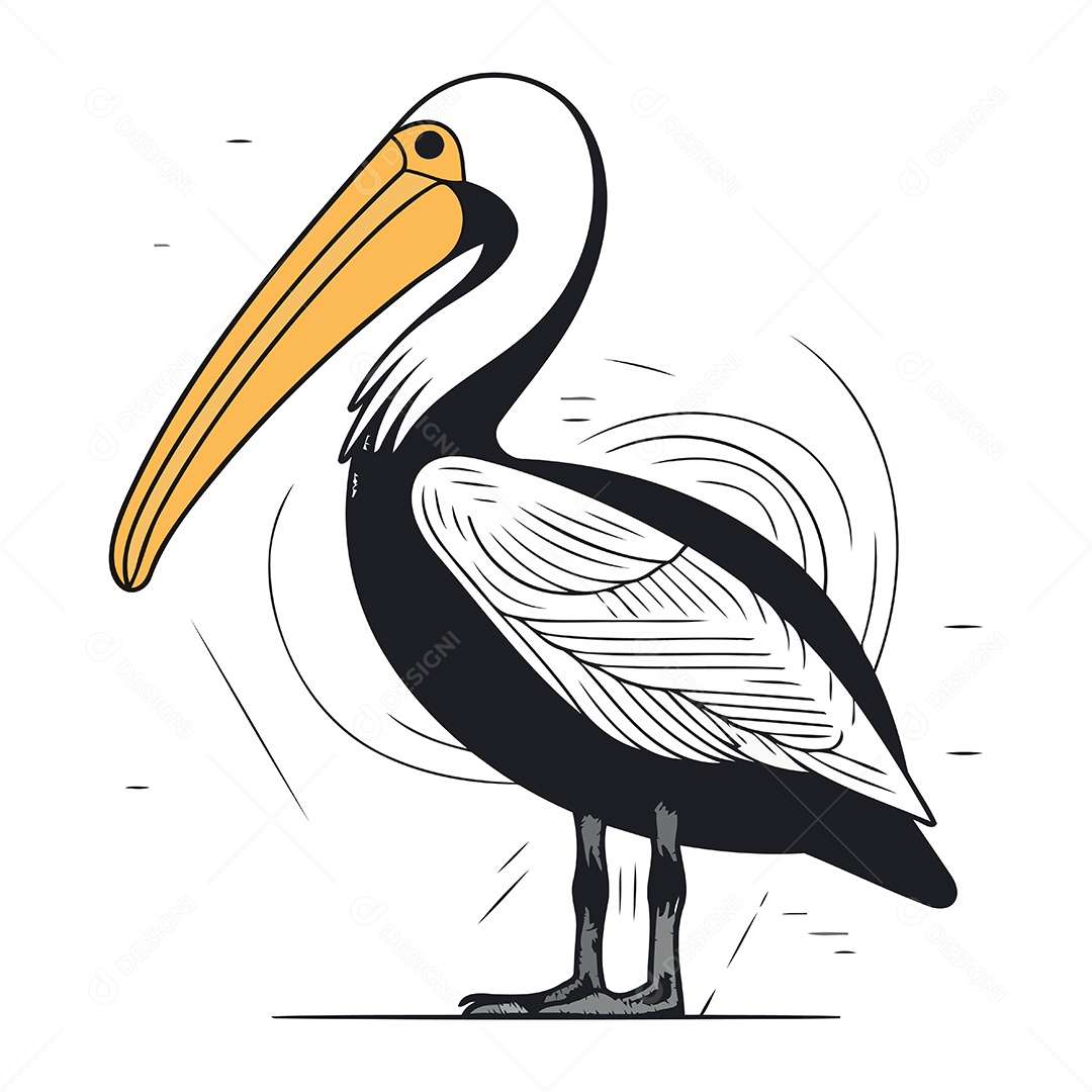 Pelicano de Desenho Animado Ilustração Vetor EPS